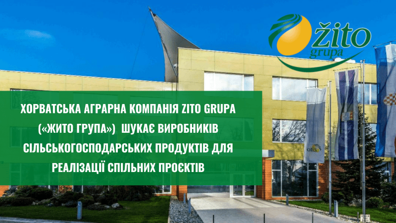 изображение-3